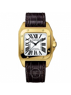 Cartier SANTOS 100 W20112Y1